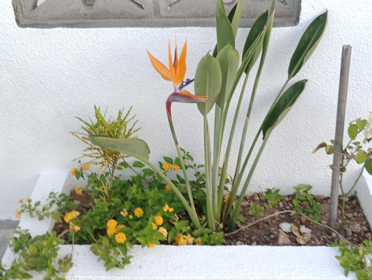 Chales Recanto Das Flores Rn 몬치 다스 가멜레이라스 외부 사진