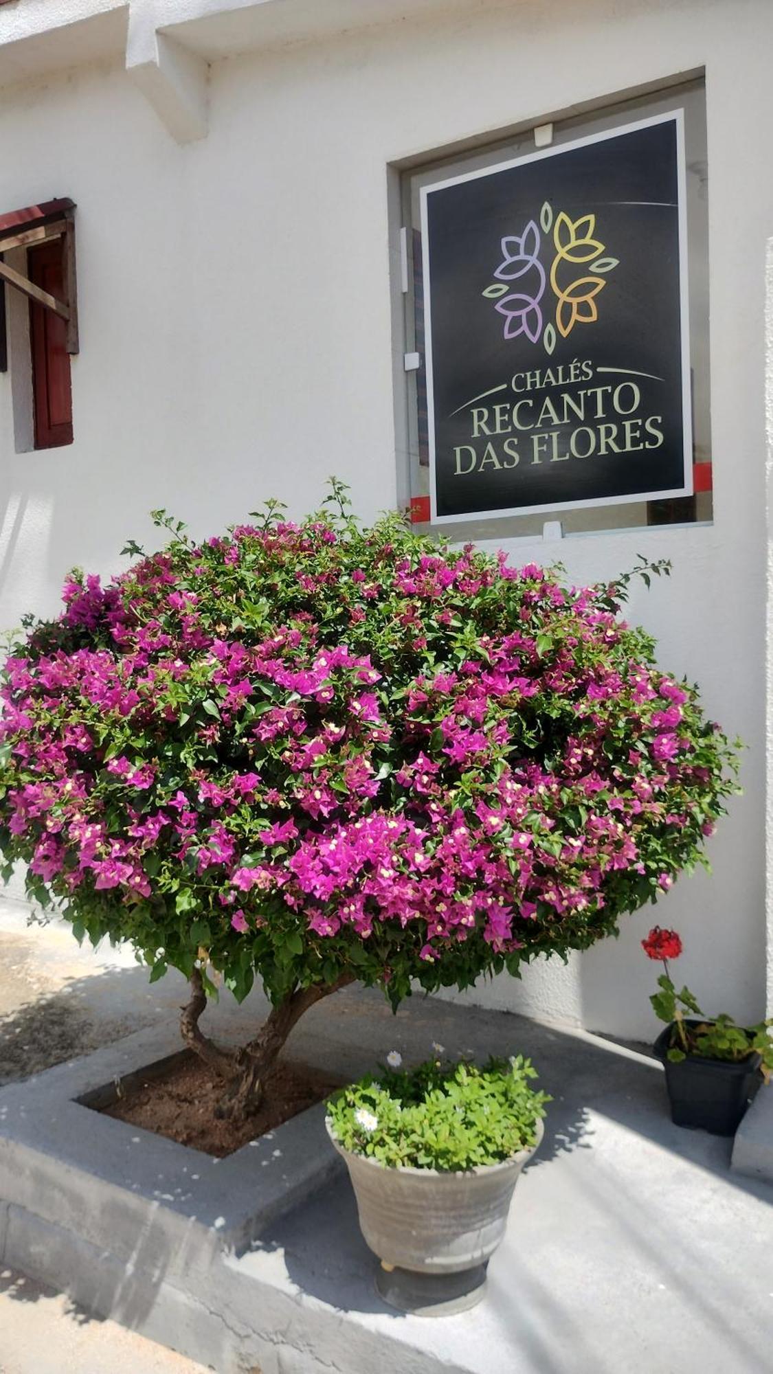Chales Recanto Das Flores Rn 몬치 다스 가멜레이라스 외부 사진